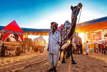 Excursions dans le désert du Rajasthan